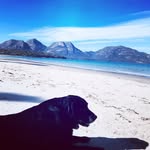 el_l_young - @el_l_young - Instagram