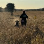 Ell Young - @el_jean_doglife - Instagram
