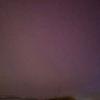 Ellyoung - @ellyoung19 - TikTok