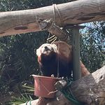 dont even ask - @ellaablett.com.au - Instagram