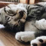 Ella Abney - @ella_a16 - Instagram