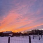 Ella Abrams - Facebook