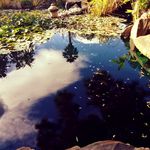 Ella Adler - @world.of.wonders2 - Instagram