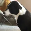 Ella Albright - @ella.albright - TikTok