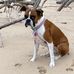Ellie Albright - Facebook