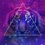 Ella Allison - @_3lla_a11ison_ - Instagram