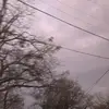 ella.allison.2 - @ella.allison.2 - TikTok