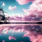 Ella Arnold - @ella.arnold.12382923 - Instagram