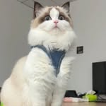 Ella Arnold - @ella.arnold648fpj - Instagram