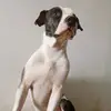 Ela❤️ - @ellaarroyo808 - TikTok