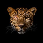 Ella Atkins - @ellaatkins_design - Instagram