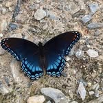 Ellen Bankhead - @ellen.bankhead.7 - Instagram