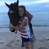 ella.behrens123 - @ella.horse.lover - TikTok