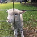 @ella_bester2010 - Instagram