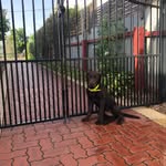 @ellabester2022 - Instagram
