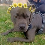 Ella Beyer - @ebeyer022 - Instagram