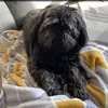 ellabigginss - @ellabigginss - TikTok