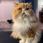 Ella Bird - @ellabird.lp - Instagram