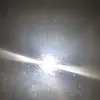 🌸ella🌸 - @ella.bird17 - TikTok
