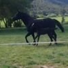 💥ella_birt💥 - @ella_birt - TikTok