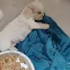 Ella Blackwell - @ella.blackwell67 - TikTok
