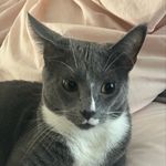 blair - @ellablairmcclendon - Instagram