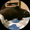 ellaaaa - @ella.blanco - TikTok