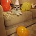 Ulla Blixt - Facebook