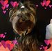 Ella Blum - Facebook