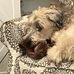 Ella Blythe - Facebook
