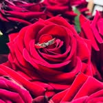 Ella Bolinger - @bolinger_ella - Instagram