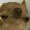Ur mom - @_ella_bolinger_ - TikTok