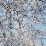 ella bollinger - @photo_editer_erb334 - Instagram