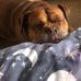 Ella Bond - Facebook