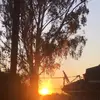 Ellah_bond❤️💛🖤 - @ellah_bond - TikTok