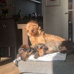 Booker en ella - @ella_booker_ - Instagram