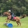 ella.borland45 - @ella.borland45 - TikTok