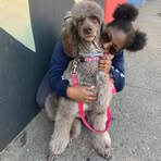 Ella Bose - Facebook