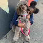 Ella Bose - @hollibali - Instagram