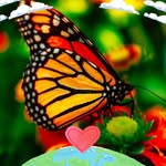 Ella Boss - @ellaboss62 - Instagram