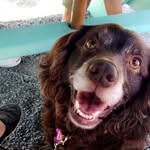 Ella The Boykin - @ellatheboykin - Instagram