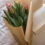 Ella Boyko - @boyko442211 - Instagram