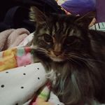 Ella Boyle - @ellaboyle70 - Instagram