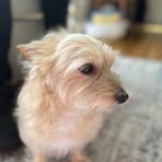 Ella Brackett - Facebook