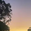 🚜new music by Ella brake🤠 - @new.music.by.ella - TikTok