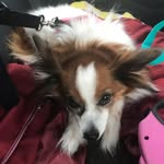 Bella Brannon - @bella_brannon - Instagram
