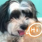 Elly Breeden - @murphy_the_awesome_and_cute - Instagram