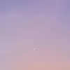 ellabrisson180 - @ell.grace4 - TikTok