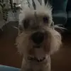 ella!💕 - @ella.broderickk - TikTok
