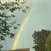 ellabrownleexox - @ellabrownleexox - TikTok